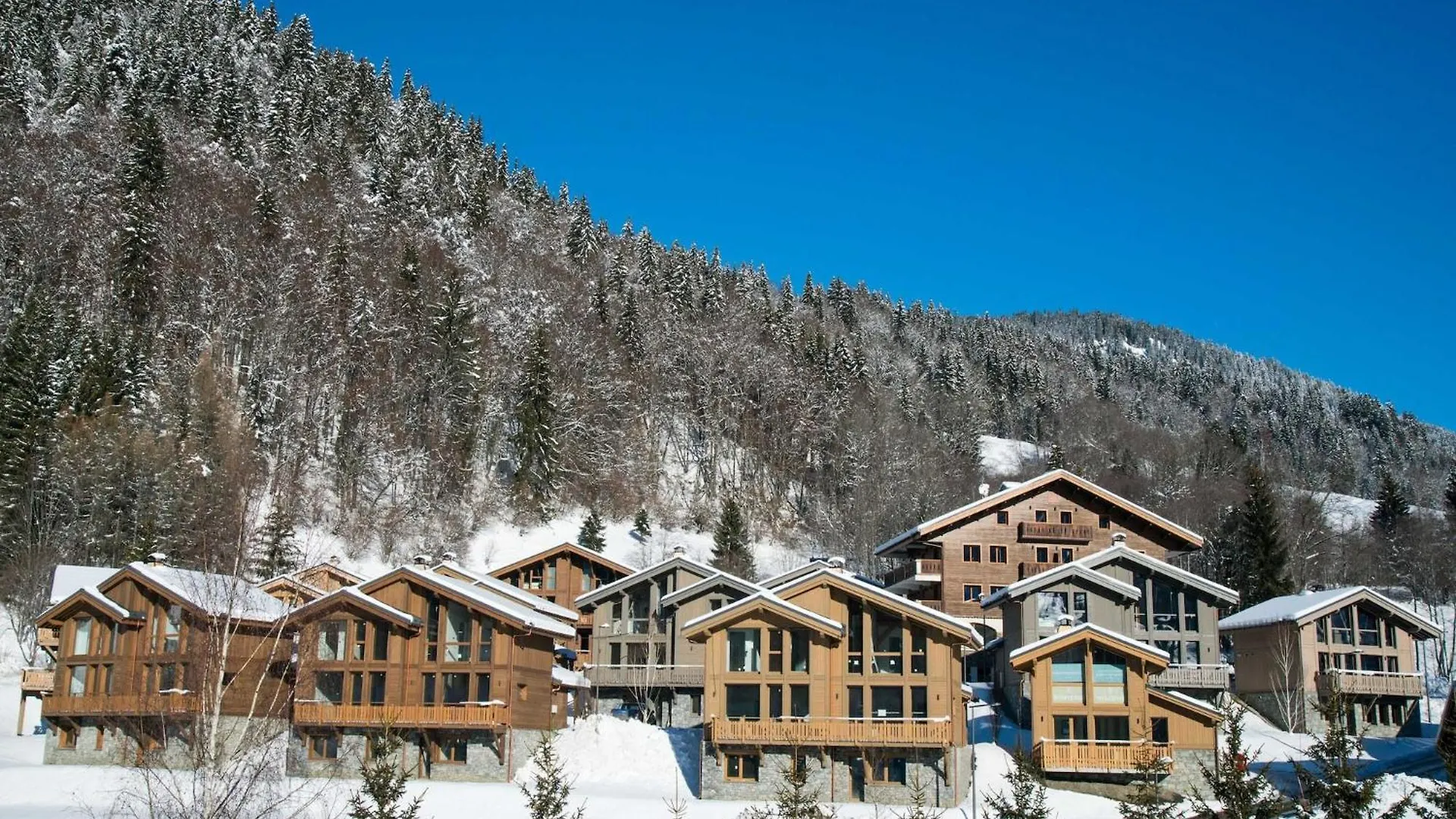 Stylish Apartment With Balcony Or Terrace Praz-sur-Arly France